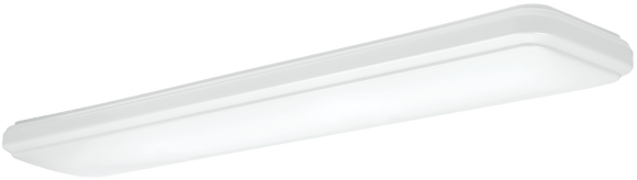 ETI 54647142 – 1′ x 4′ Reva Stepped Lens – Ceiling Light