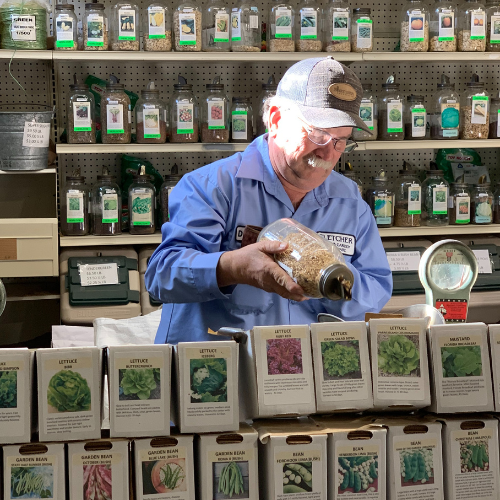 Customer looking at seeds