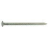 Monster Fastener Steel Wire Flat Head Nails