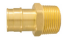 Apollo 3/4 in. Brass PEX-A Barb x 3/4 in. MNPT Male Adapter