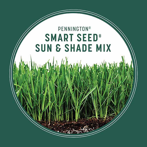 Pennington Smart Seed Sun and Shade Grass Seed and Fertilizer Mix