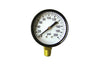 Green Leaf Standard Pressure Gauge