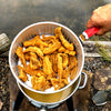 Bayou Classic Sportsman's Choice Aluminum Fish Cooker