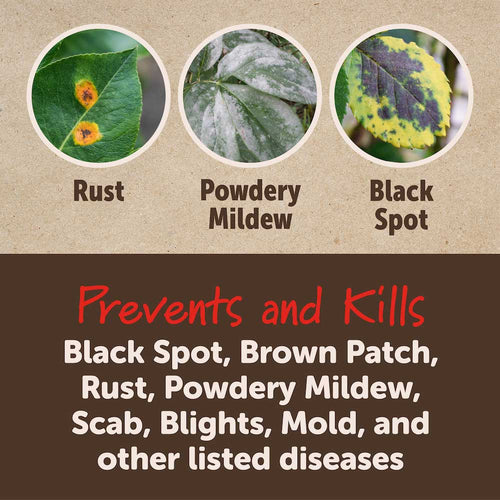 Garden Tech Sevin® 3-in-1 Flower & Shrub RTS