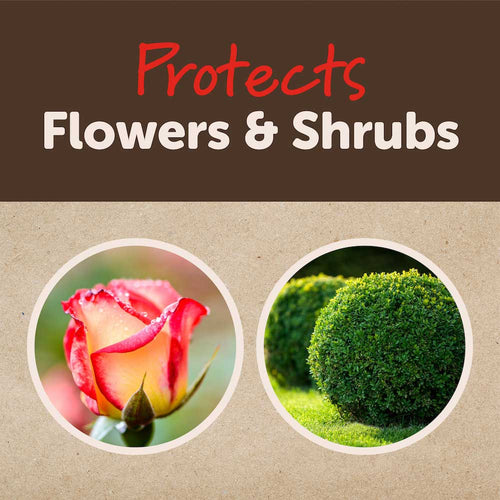 Garden Tech Sevin® 3-in-1 Flower & Shrub RTS