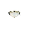 Hardware House 544411 2 Light Ceiling Light Fixture, Flush Mount